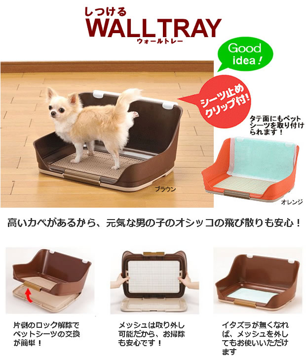 ボンビアルコン しつけるウォールトレー
