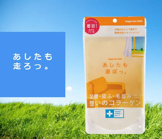 ニッピあしたも走ろっ猫用