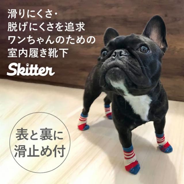 Skitter