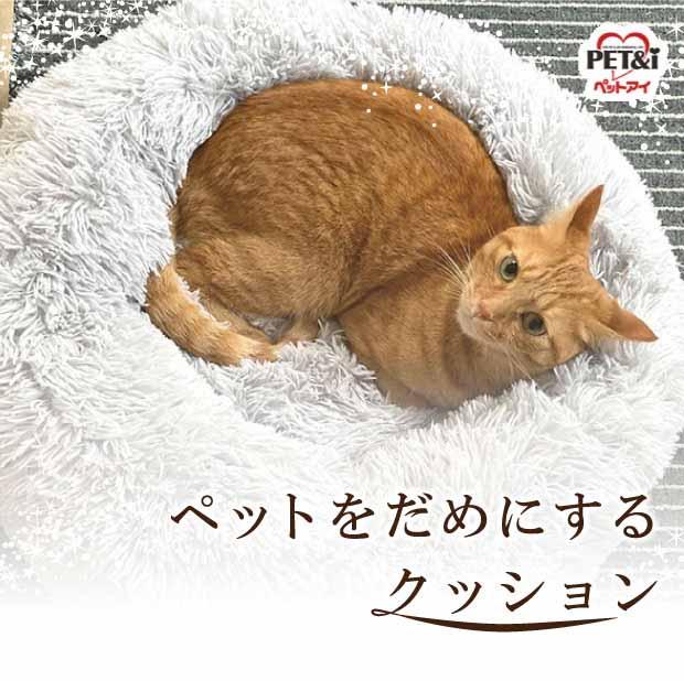 クッション1