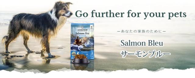 アディクション