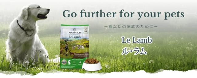 アディクション