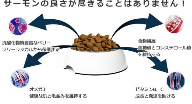 サーモンブルー
