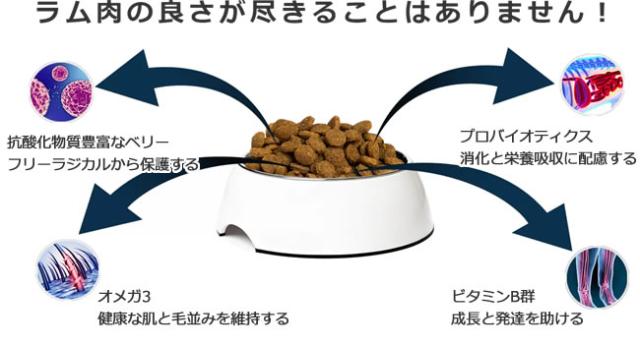 ル・ラム