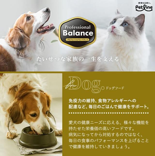 プロフェッショナル・バランス