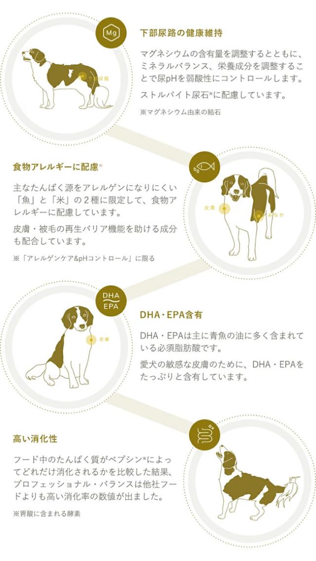 プロフェッショナル・バランス