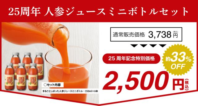 セット内容