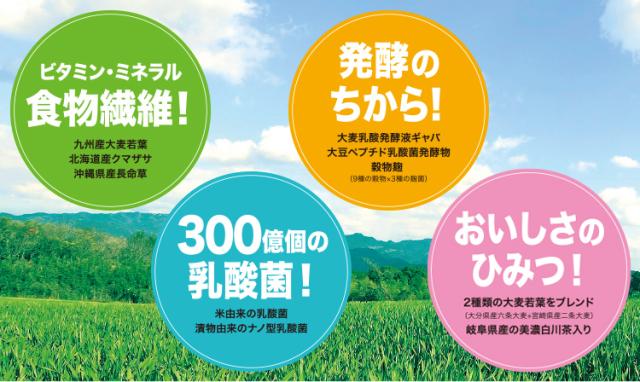 食物繊維、乳酸菌、発酵のちから、おいしい