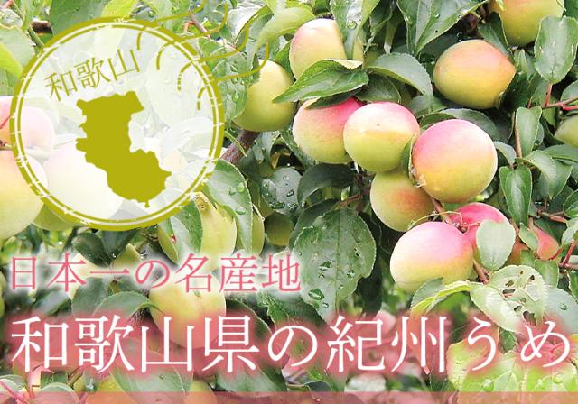 日本一の名産地　和歌山