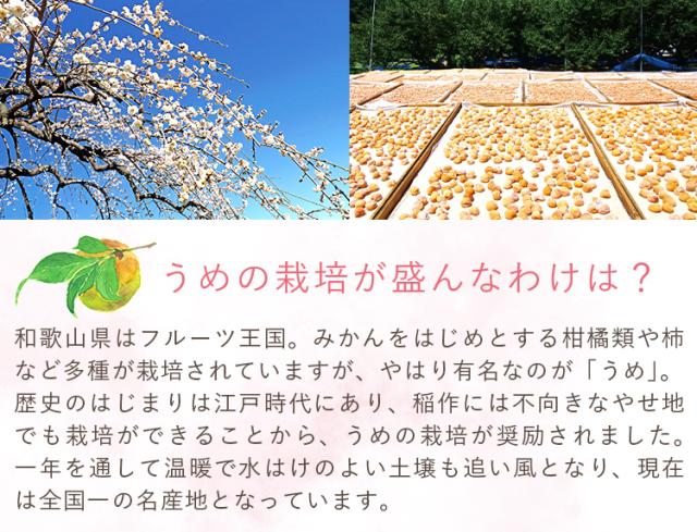 栽培が盛んな理由