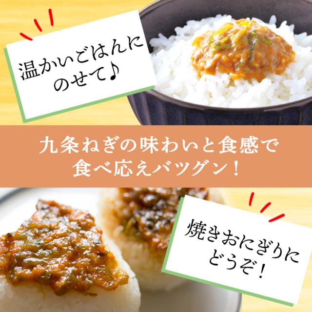 おいしい九条ねぎ味噌 日本自然発酵 225g×1個 みそ 調味料の通販