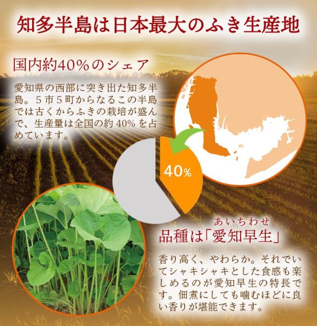 3.知多半島は日本最大のふき生産地