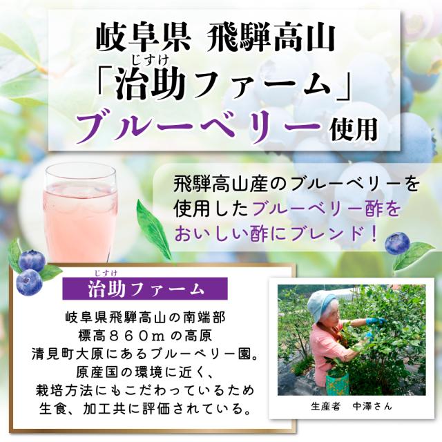 飛騨高山治助ファームのブルーベリーを使用