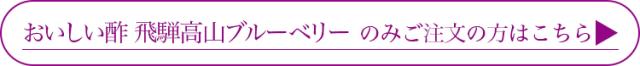 おいしい酢ブルーベリーのみはこちら