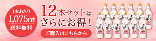 12本セットがお得