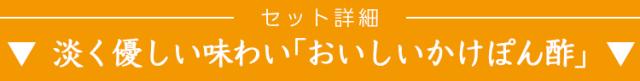 セット詳細かけぽん酢