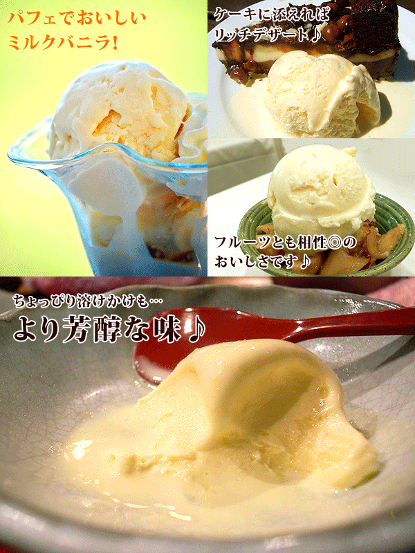 弘乳舎 国産 プレミアム バニラ アイスクリーム 大容量 2リットル 