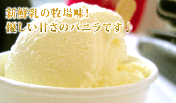 弘乳舎 国産 プレミアム バニラ アイスクリーム 大容量 2リットル 