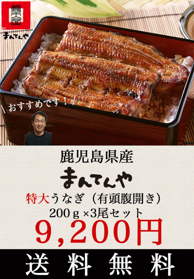 父の日　3尾セット　お中元　送料無料　大和屋　ウナギ　ギフト　マーケット　au　おの通販はau　うなぎ　まんてんや　うなぎ蒲焼き　鹿児島　国産　母の日　鹿児島県産　旬果庵　うなぎ蒲焼き　PAY　600g　PAY　マーケット店　au　PAY　マーケット－通販サイト