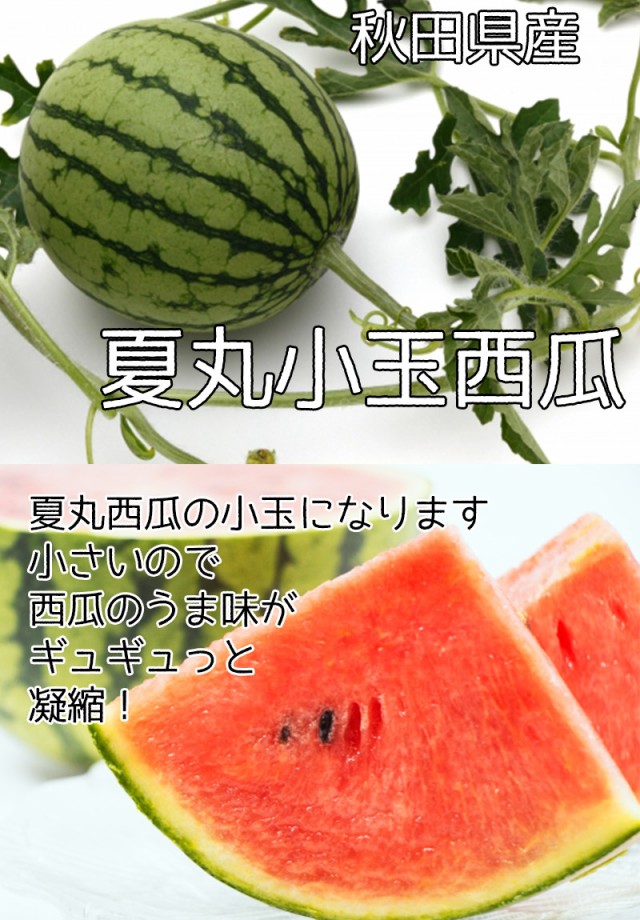 秋田県産 夏丸 小玉 西瓜 チッチェ 1 5kg 2kg 常温便 送料無料 お試し 秋田県 西瓜 すいか あきた夏丸 小玉 西瓜 ギフト ール便送料必の通販はau Pay マーケット 大和屋 旬果庵 Au Pay マーケット店 商品ロットナンバー