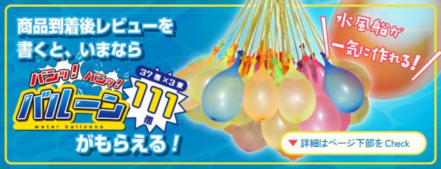 レビュープレゼント