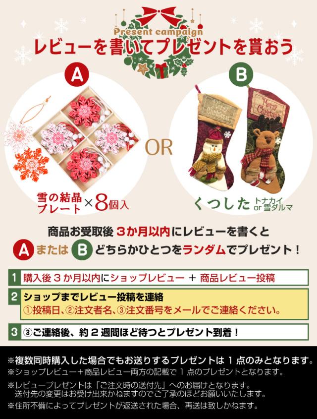 レビュープレゼント