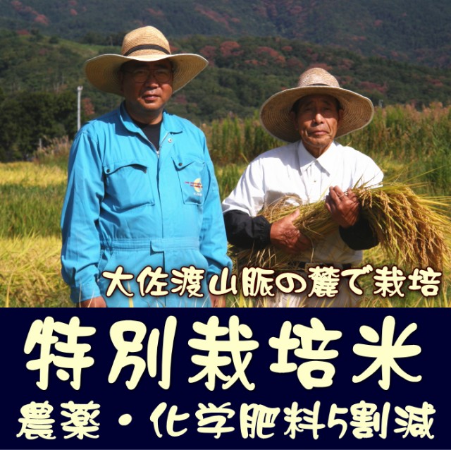 特別栽培米・農薬化学肥料5割減
