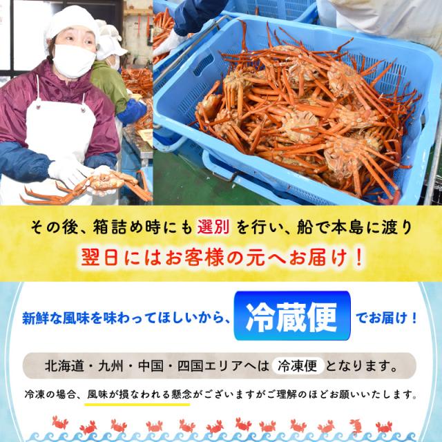 カニ漁の朝は早い2