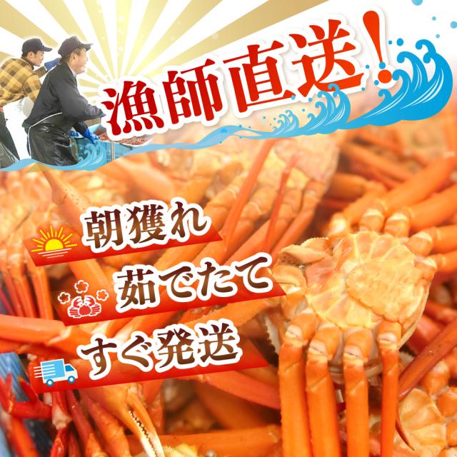 朝どれ・ゆでたて・すぐ発送