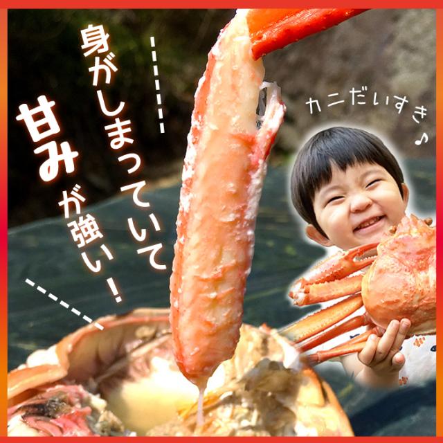 身がしまって甘みが強い