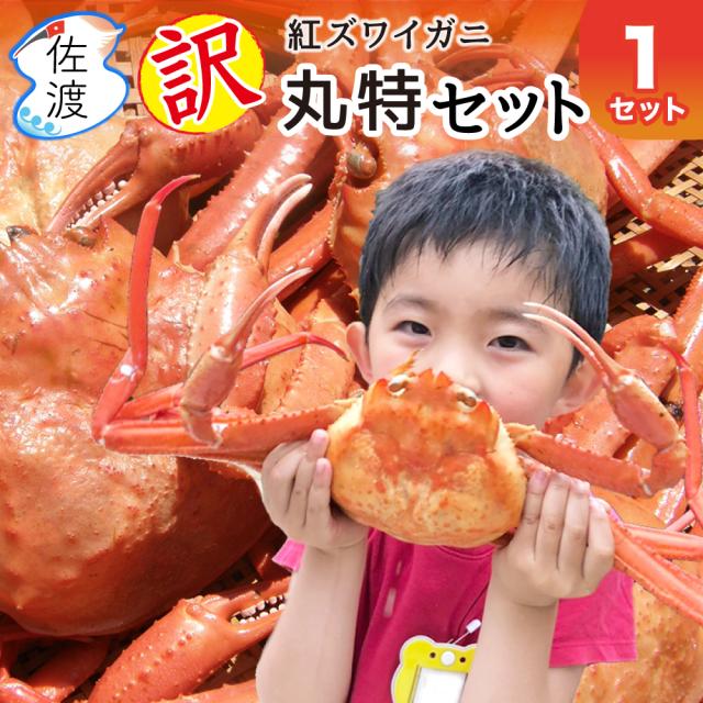 佐渡産紅ズワイガニ 訳あり 丸特1セット