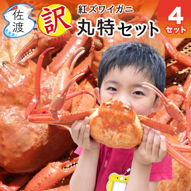佐渡産紅ズワイガニ 訳あり 丸特4セット