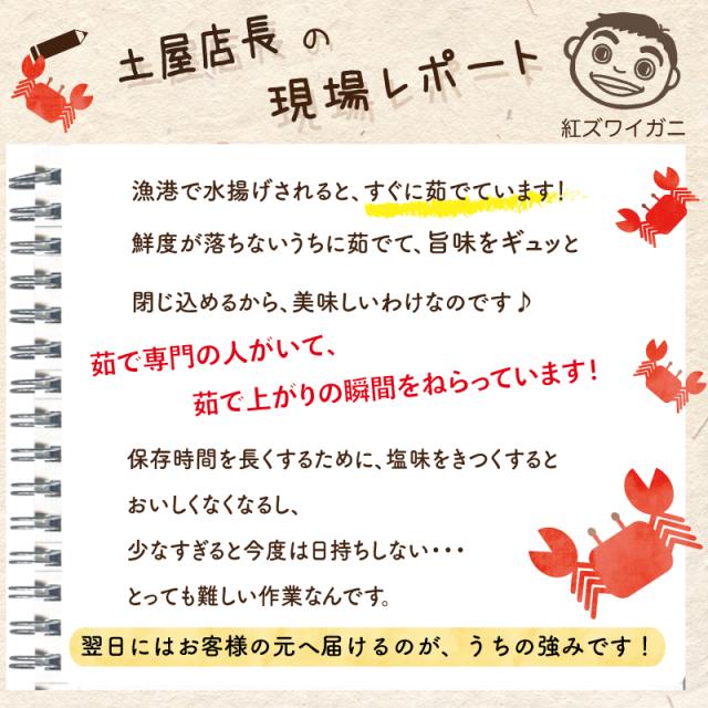 現場レポート