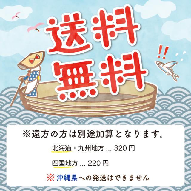 送料無料