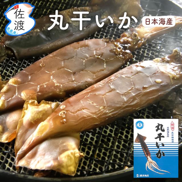 日本海産丸干しいか500g