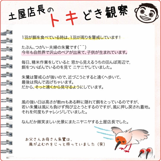 トキの観察