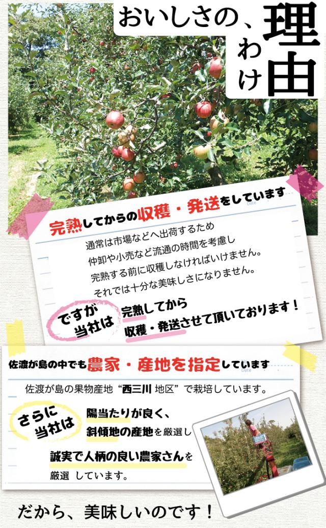 美味しさの理由