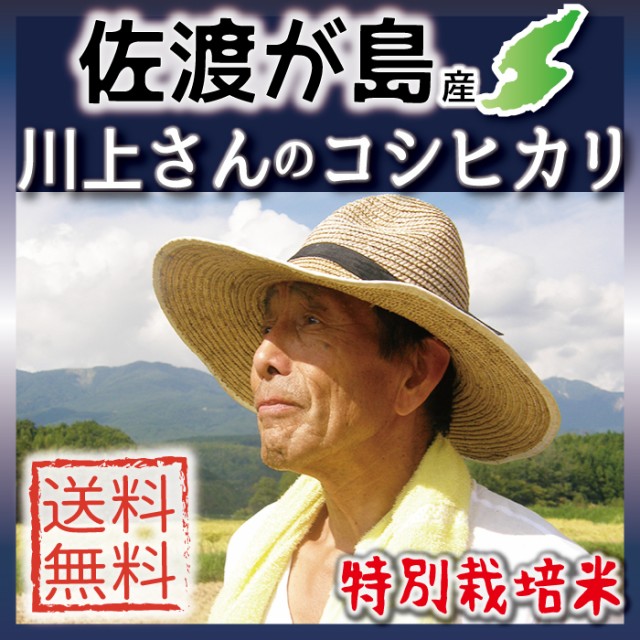 佐渡産コシヒカリ 川上さんの特別栽培米