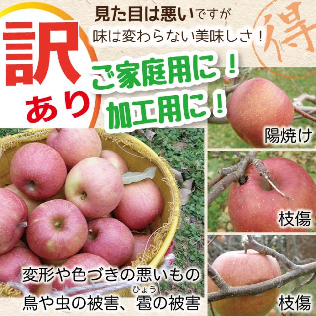 ご家庭用に！加工用に！