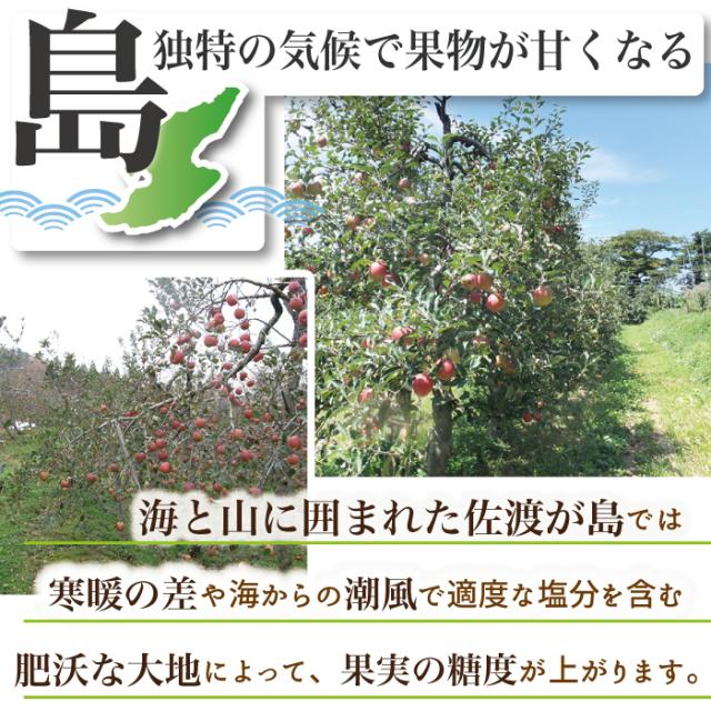 島独特の気候で