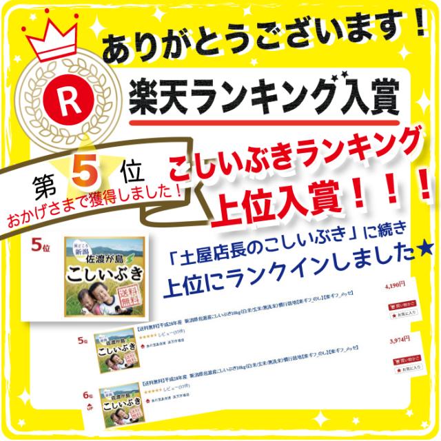 楽天ランキング入賞