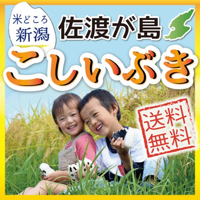 佐渡産こしいぶき　送料無料