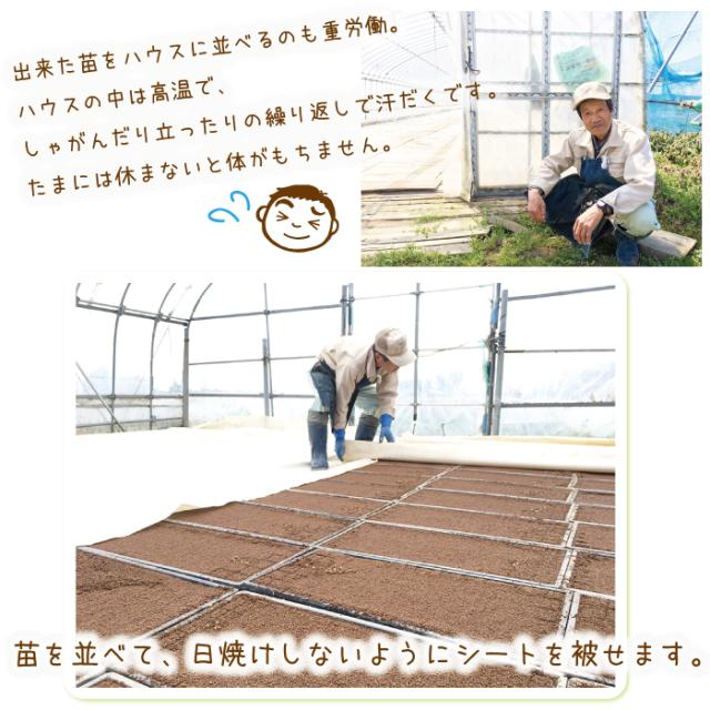 通販NEW 令和2年産 朝ごはんにオススメ!
上質な極細繊維のスーパー
あっさりの通販はau PAY マーケット - 食の宝島佐渡|商品ロットナンバー 新潟県 佐渡産 ちほみのり 25kg(白米/玄米/無洗米/7分づき)高橋さんのおいしいお米 2022SALE