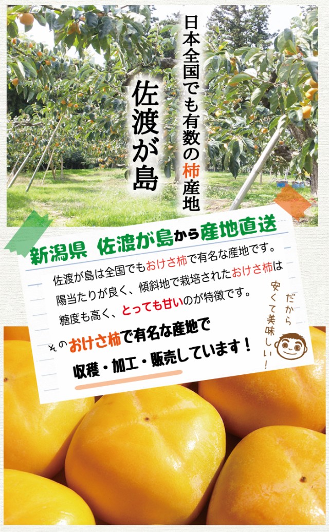 令和5年産 佐渡産あんぽ柿1.5kg（250g×6P）1パック4〜6個入 「おけさ柿