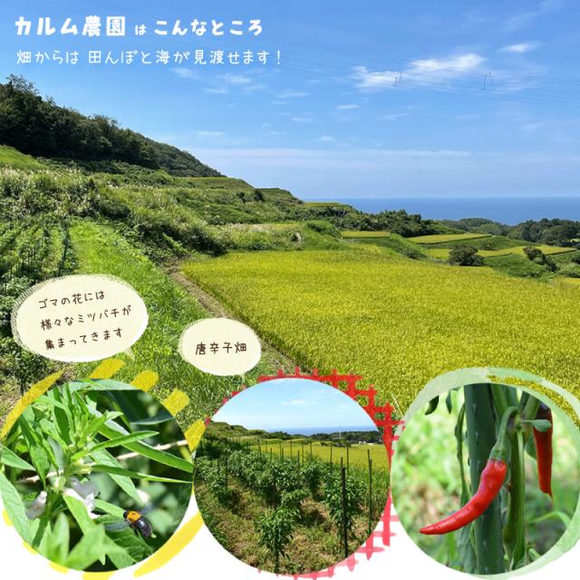 カルム農園はこんなところ