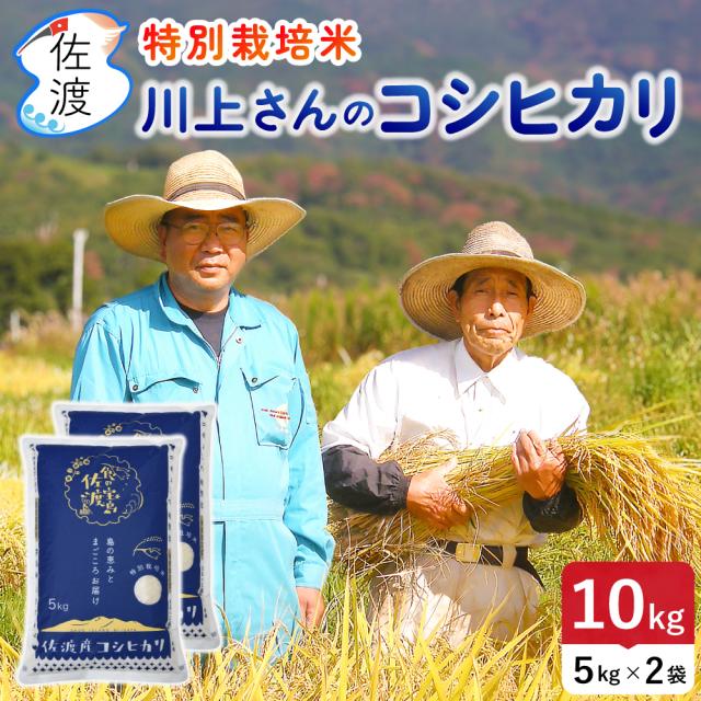 佐渡産コシヒカリ 川上さんの特別栽培米