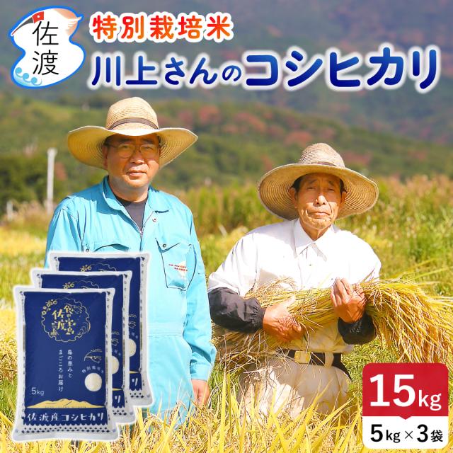 佐渡産コシヒカリ 川上さんの特別栽培米