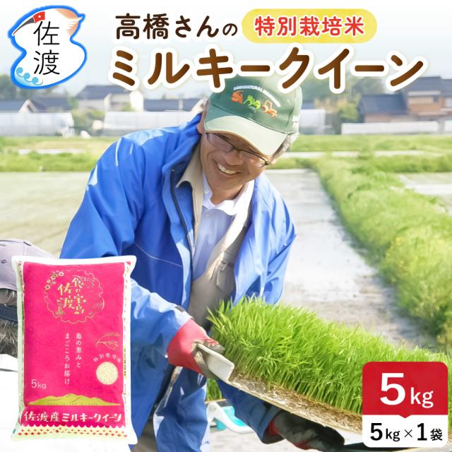 高橋さんのミルキークイーン