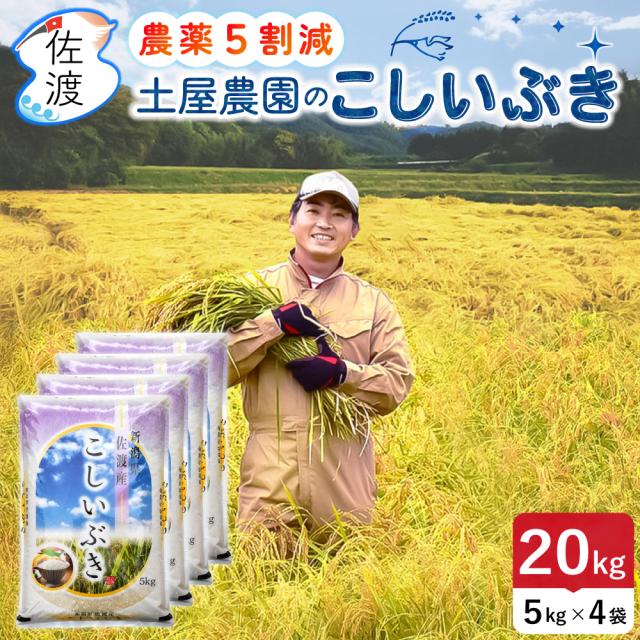 送料無料 こしいぶき