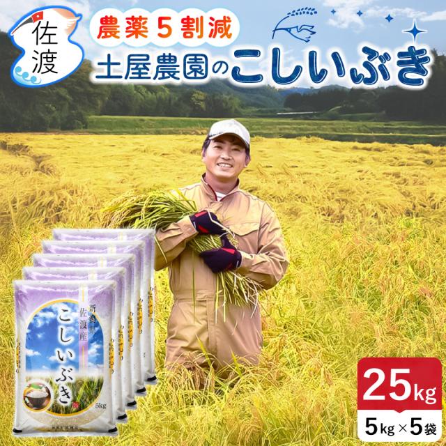 送料無料 こしいぶき